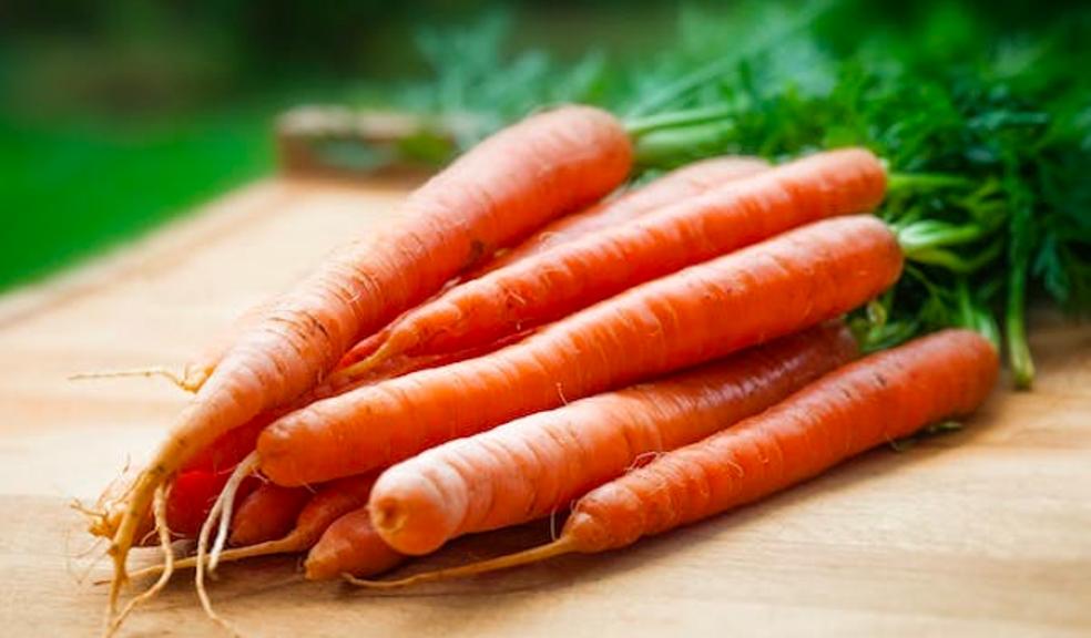 Carrots Carrots