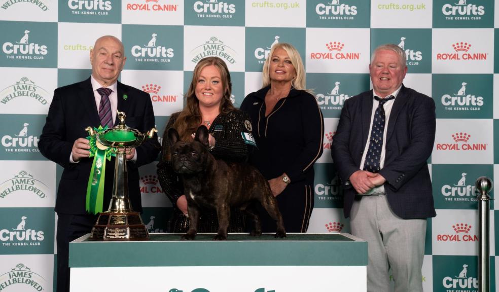 Abbie and Dean Cund with Elton, a French Bulldog - Utility Group winner Abbie and Dean Cund with Elton, a French Bulldog - Utility Group winner