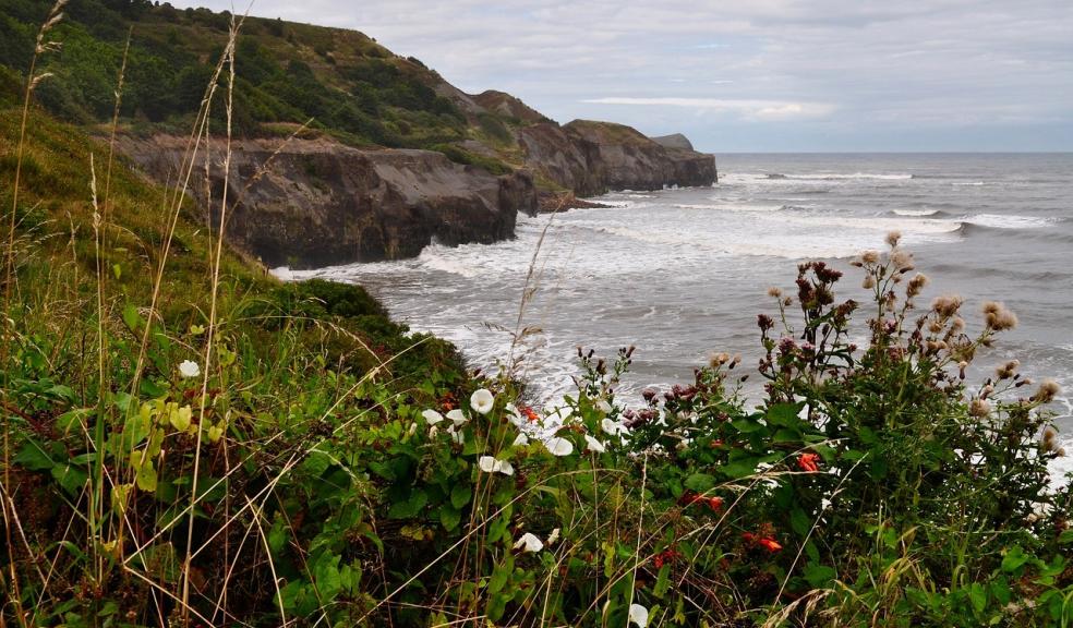 A picturesque coastline A picturesque coastline