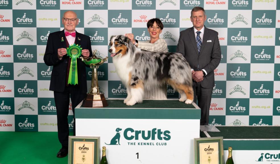 Best in Group Pastoral Melanie and Viking Best in Group Pastoral Melanie and Viking