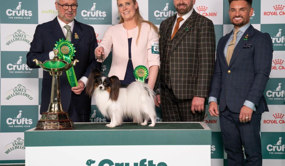 Crufts Best in Group Toy Crufts Best in Group Toy