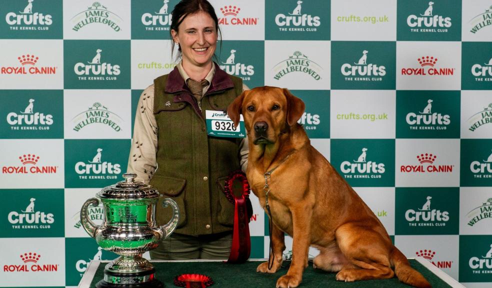 Crufts Gamekeepers winner Emma and Tweed Crufts Gamekeepers winner Emma and Tweed