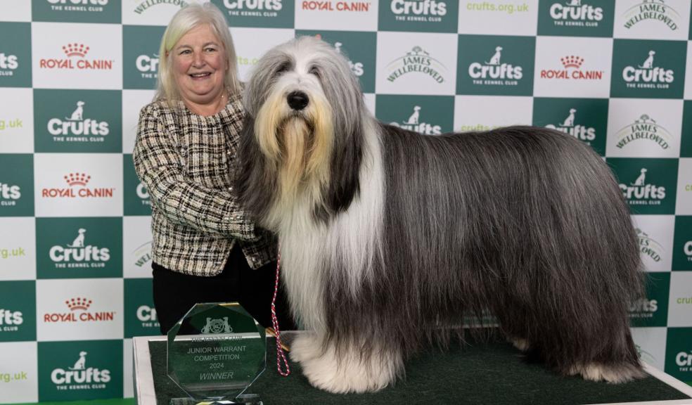 Crufts Junior Warrant winner Linda and Cash Crufts Junior Warrant winner Linda and Cash