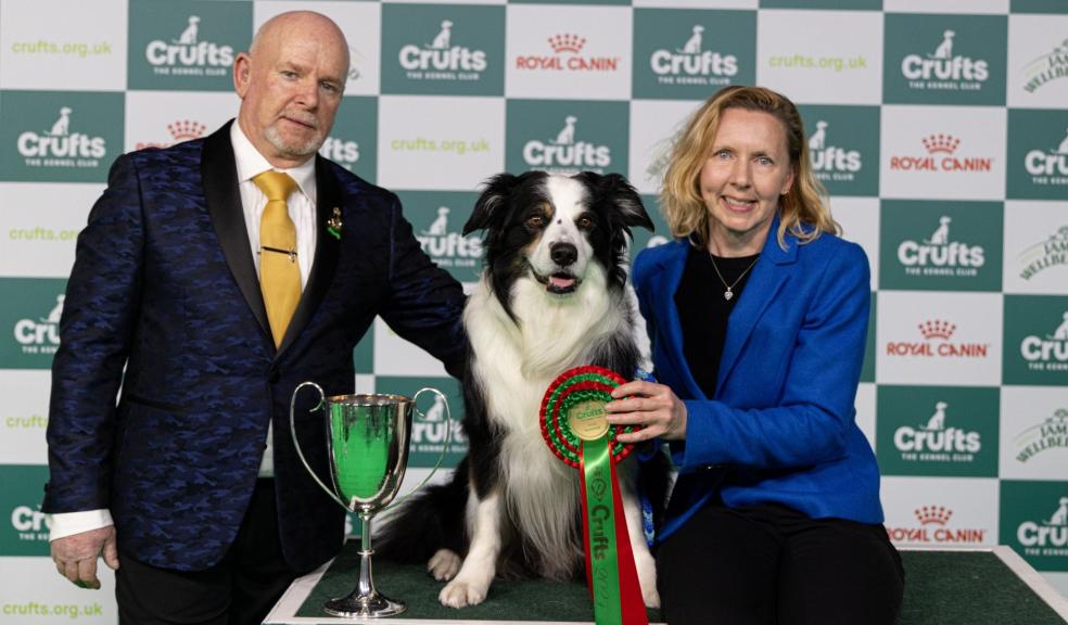 Crufts Obedience Champion Dog winner Crufts Obedience Champion Dog winner