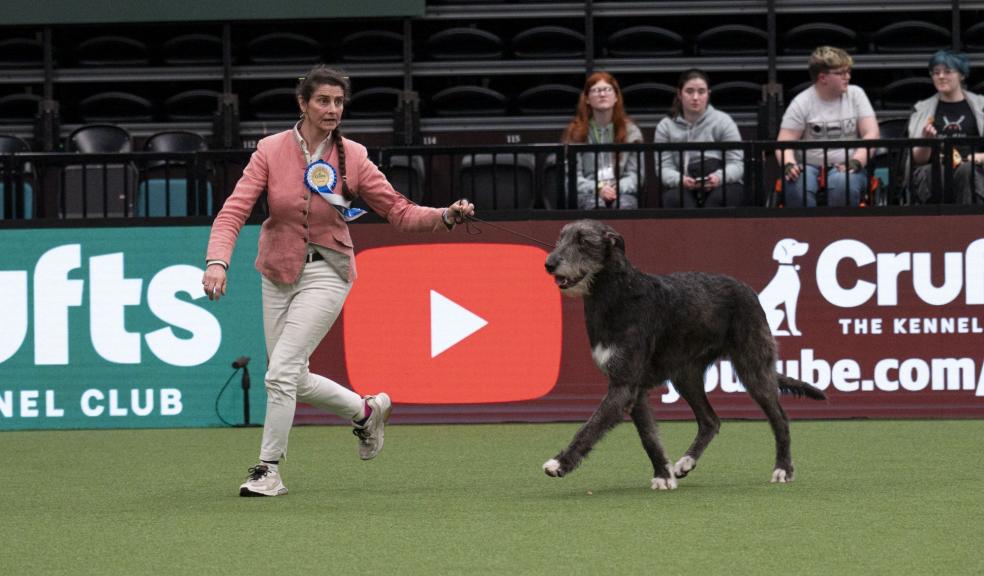 Crufts Vulnerable Breed Competition winner Crufts Vulnerable Breed Competition winner