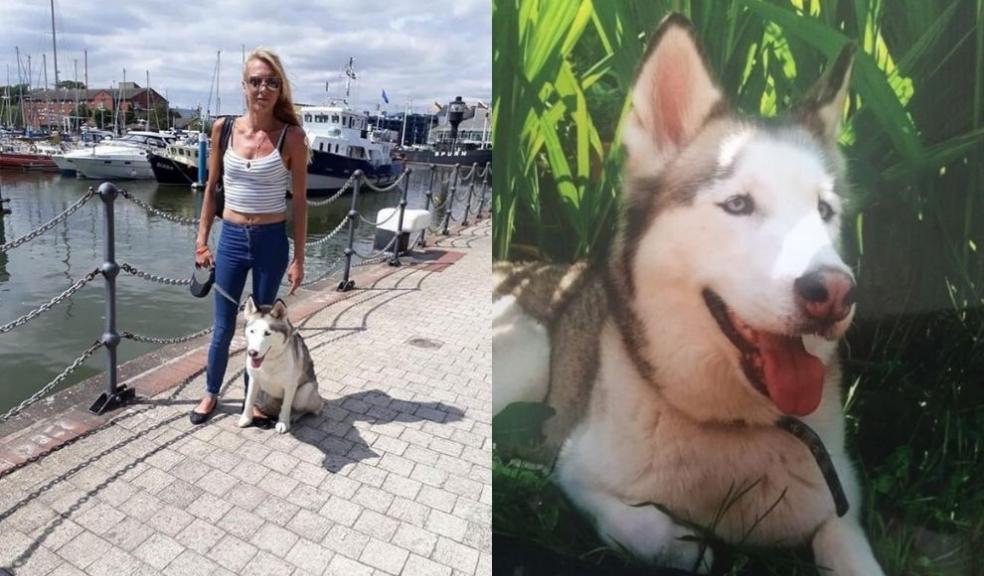 Heidi the Husky and her owner Heidi the Husky and her owner