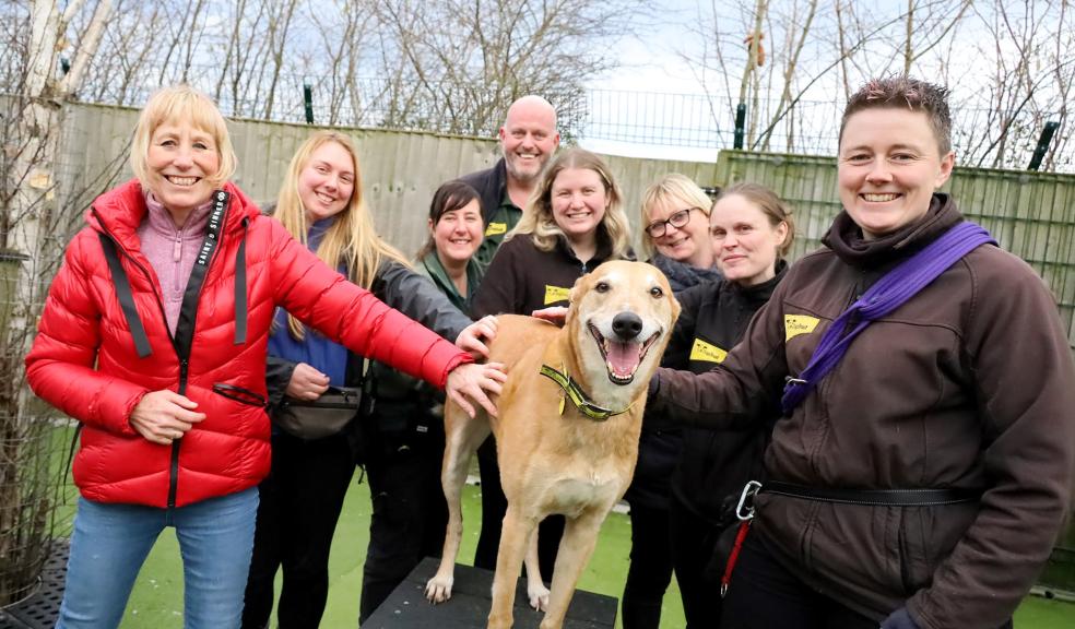 Jake on adoption day with all his Dogs Trust friends Jake on adoption day with all his Dogs Trust friends