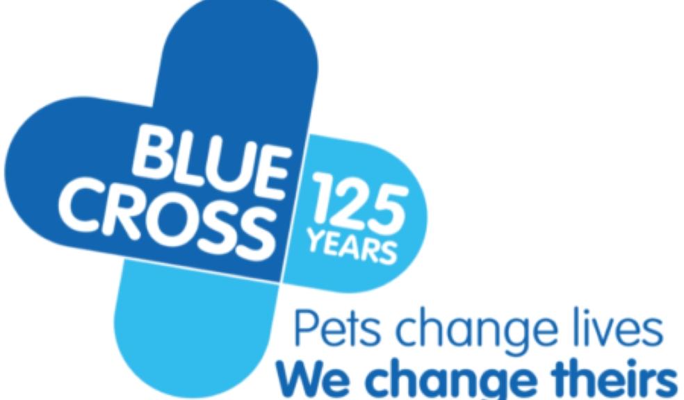 Blue Cross logo Blue Cross logo