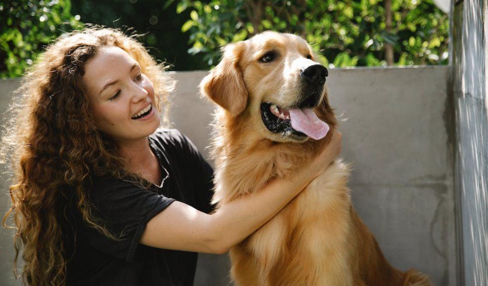 Dog with it's owner Dog with it's owner