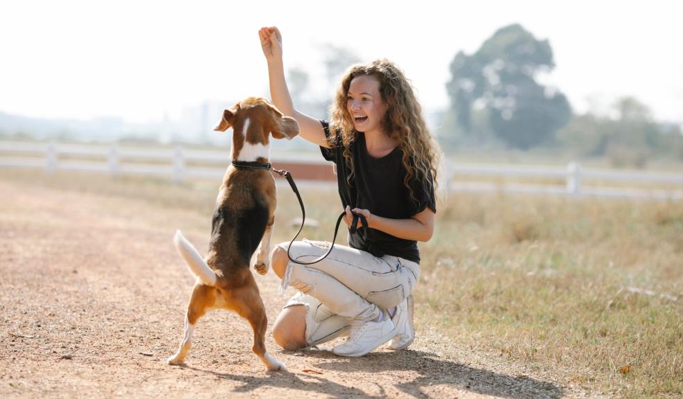 Excited woman teaching dog to beg Excited woman teaching dog to beg