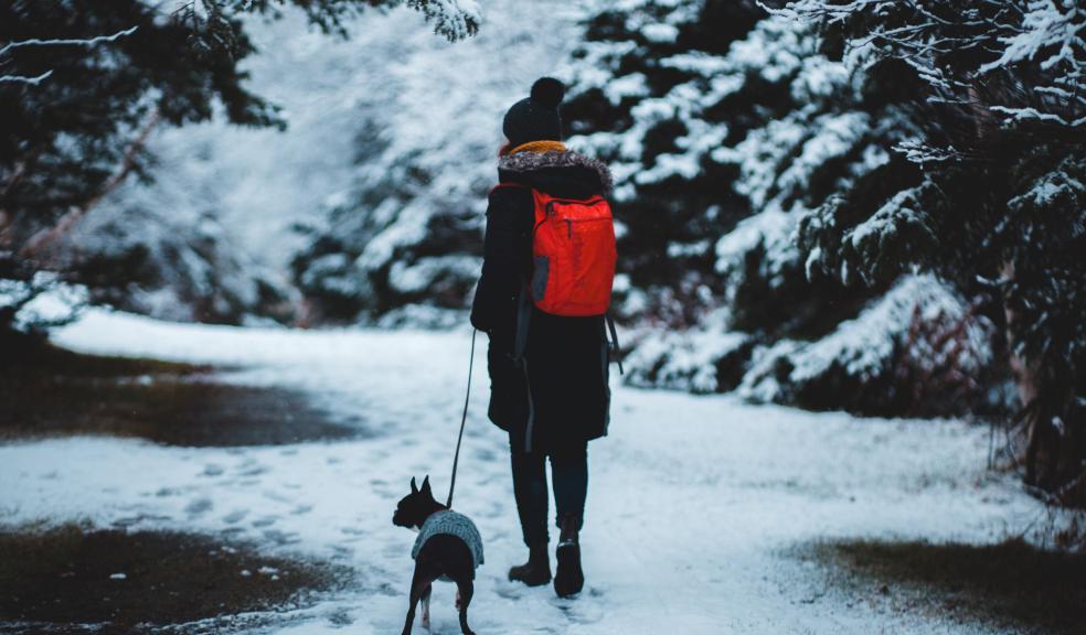 Man in Black Jacket and Black Pants Standing on Snow Covered Ground With Black and White Dog Man in Black Jacket and Black Pants Standing on Snow Covered Ground With Black and White Dog