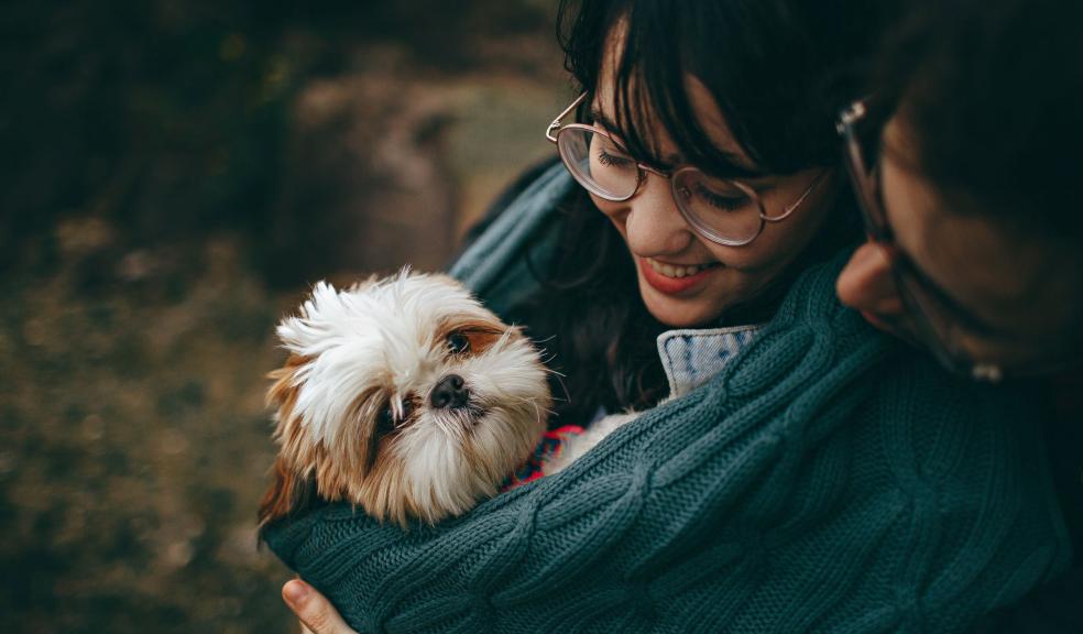 Selective Focus Photography of White and Tan Shih Tzu Puppy Carrying by Smiling Woman Selective Focus Photography of White and Tan Shih Tzu Puppy Carrying by Smiling Woman