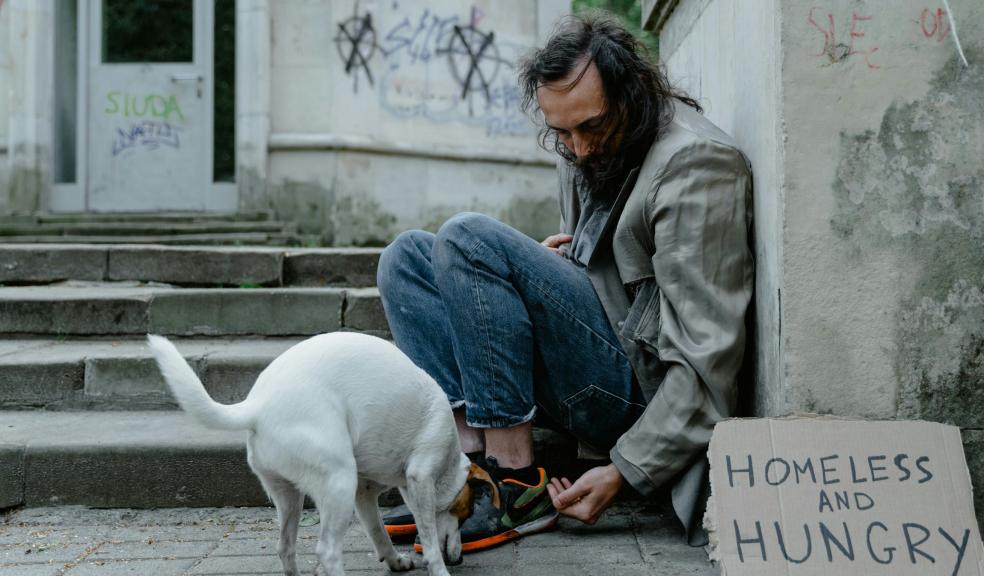 Man in Blue Denim Jeans Sitting Beside White Short Coat Dog Man in Blue Denim Jeans Sitting Beside White Short Coat Dog