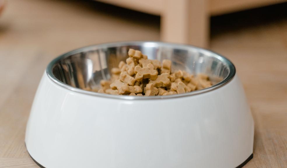 Bowl of Dog Food Bowl of Dog Food