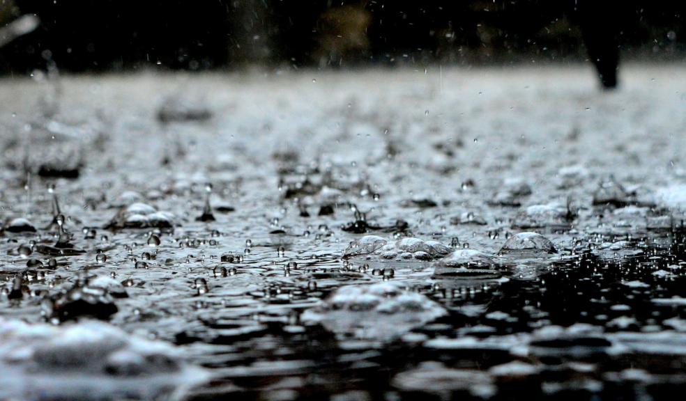 Rain Drops Rain Drops