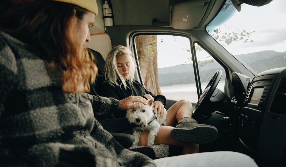 Man and Woman Sitting Inside the Campervan with Their Dog Man and Woman Sitting Inside the Campervan with Their Dog