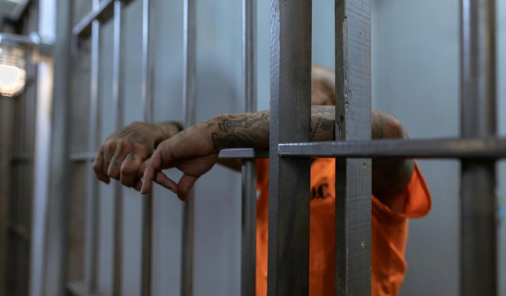 A Person in Orange Shirt with Tattooed Arms A Person in Orange Shirt with Tattooed Arms