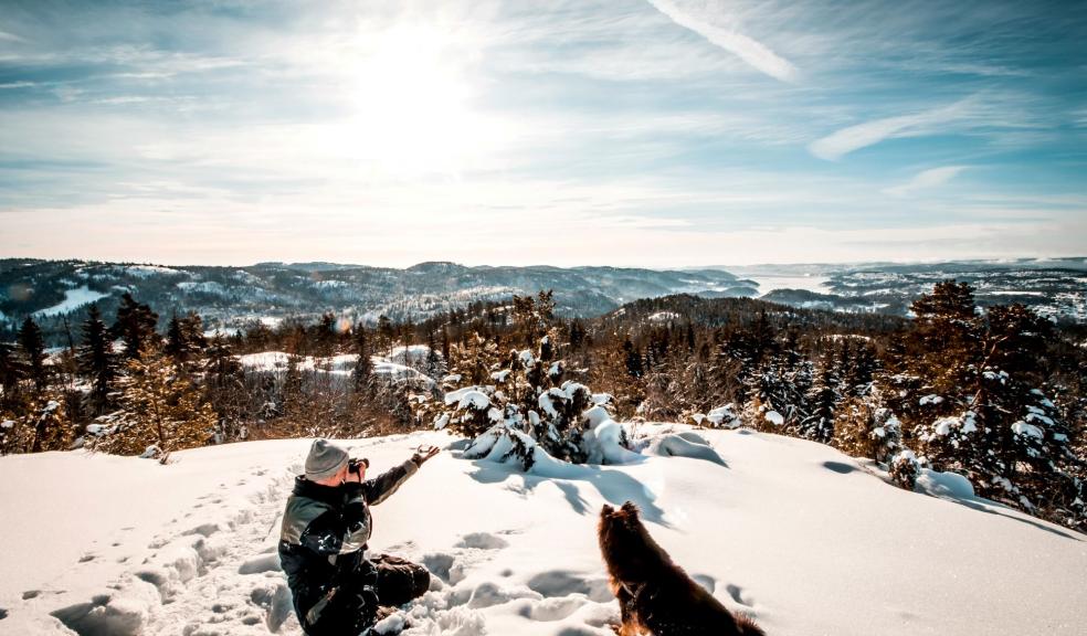 Man sitting near a dog Holding a Camera While Taking Picture of the Landscape Man sitting near a dog Holding a Camera While Taking Picture of the Landscape